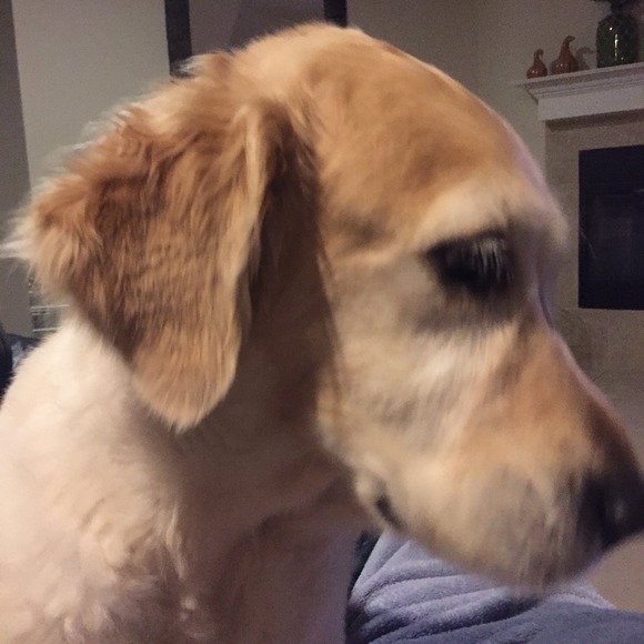 Meet your Posher, Judi - Picture 1 of 1